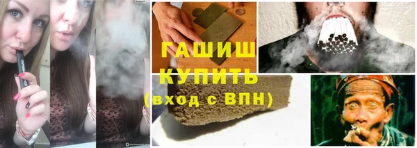 индика Аркадак