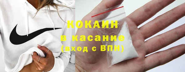 индика Аркадак