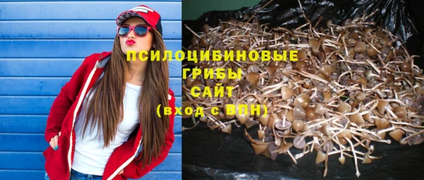 гашиш Новокубанск