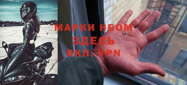 индика Аркадак