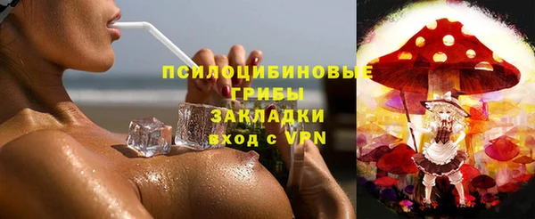 герыч Арсеньев